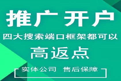 专业SEM托管，案例分析效果显著